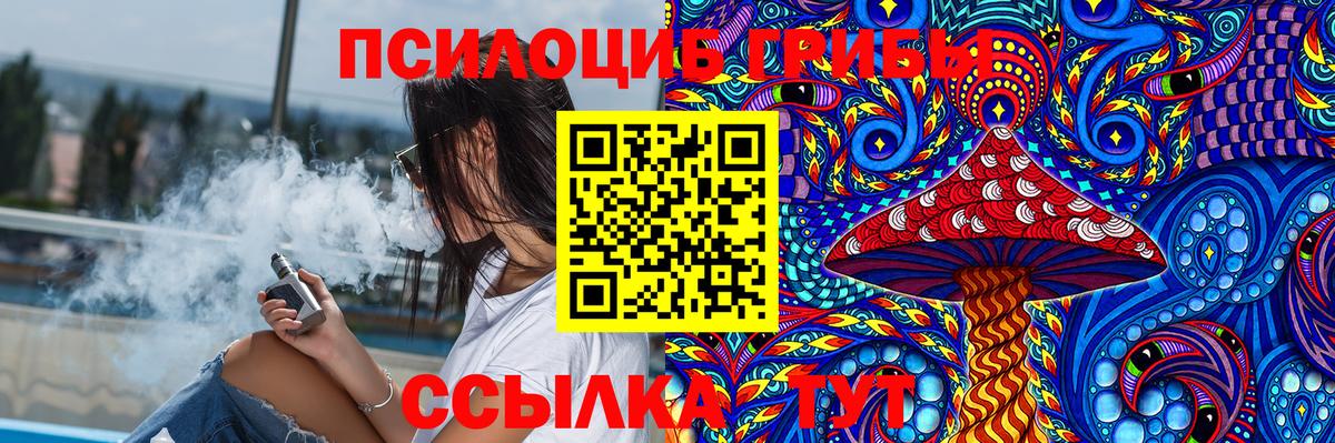 Курск  Псилоцибиновые грибы Psilocybe  Вход с VPN 